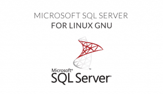 microsoft sql server