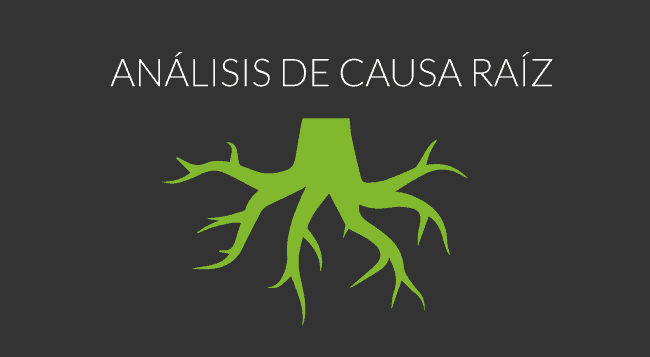 analisis causa raiz