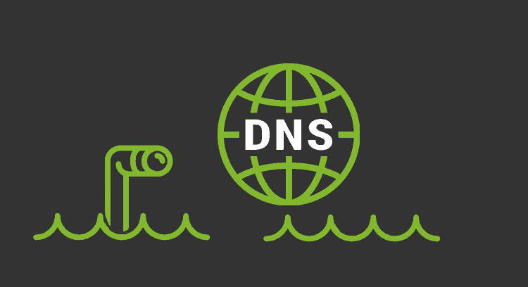 Monitorización DNS