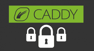 Caddy web server