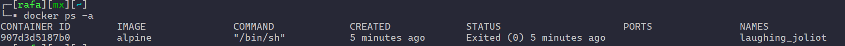 docker run 4