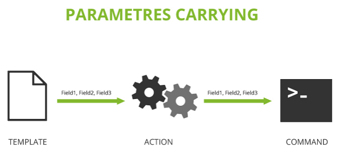 esquema-parameters-carrying.png