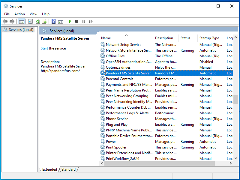 pfms-satellite-server-ms-windows-services-02.png