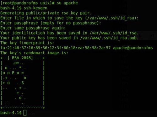 exec-server-3.jpg exec-server-3.jpg