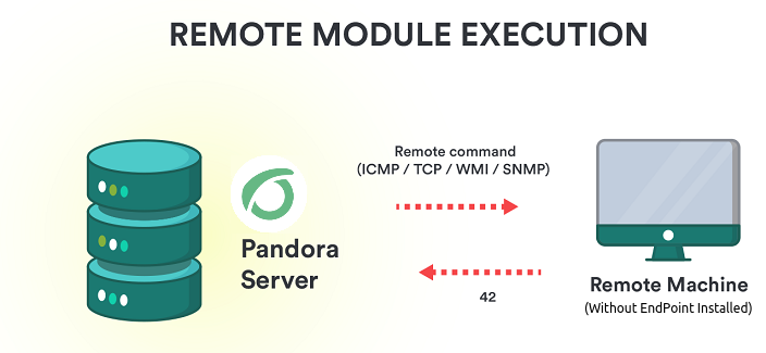 remote-module-execution-schema.png