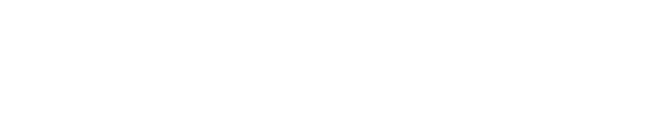 logo certificado por SAP oficial