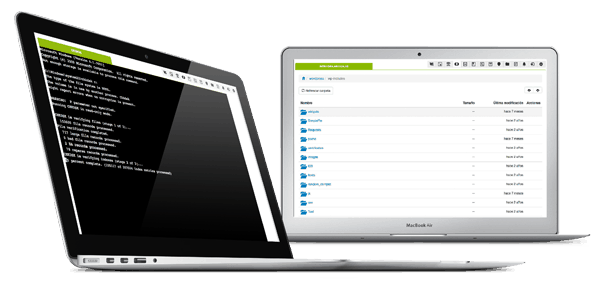 remote control for servers and monitoring pandora fms screenshot capture