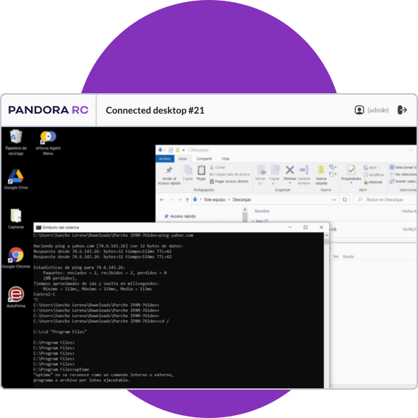 Pandora-RC-remote-access